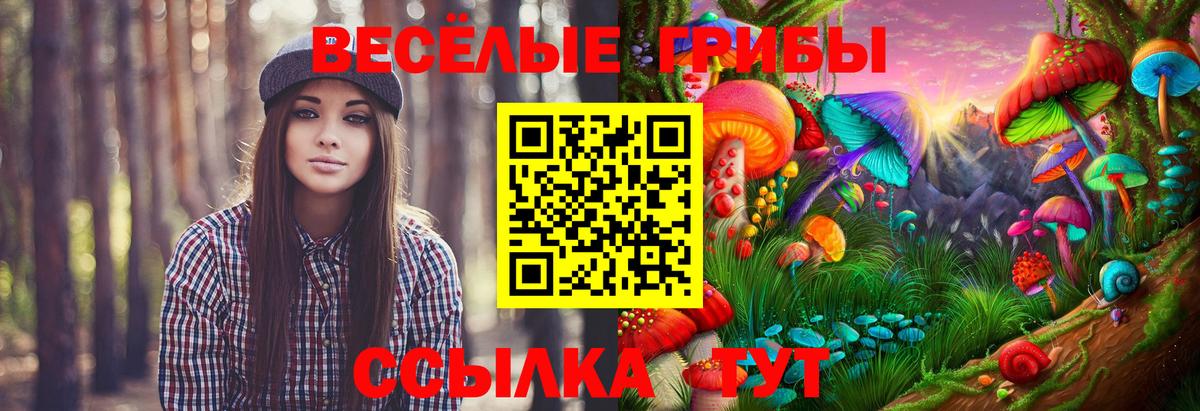 Галлюциногенные грибы Magic Shrooms Аргун