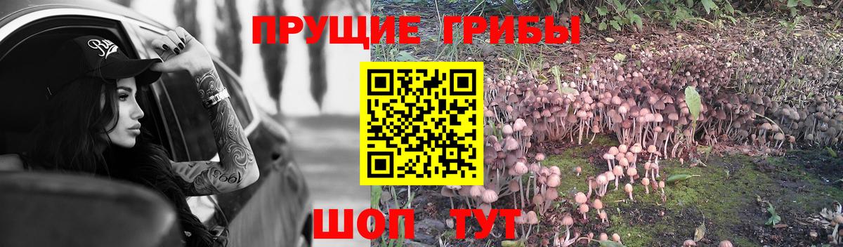 Аргун  Псилоцибиновые грибы прущие грибы  Вход с VPN 