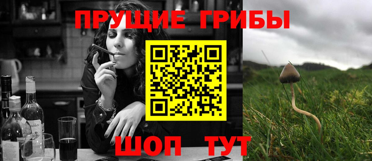 Аргун  Мефедрон  Гашиш  Канабис  Вход с VPN  Меф   Кокаин 